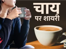 chai shayari